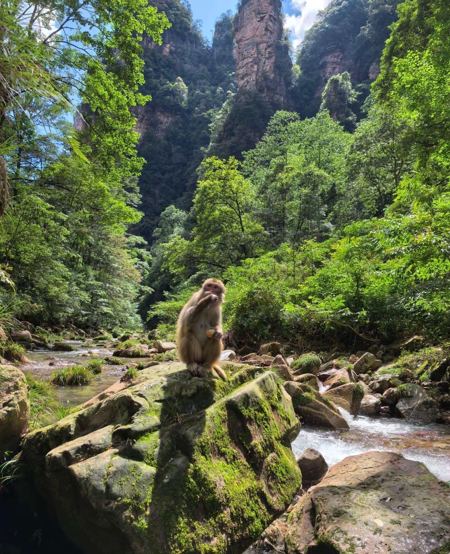 A tranquil path alongside the Golden Whip Stream with towering peaks above